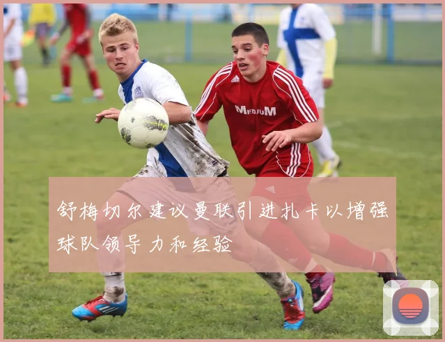 舒梅切尔建议曼联引进扎卡以增强球队领导力和经验